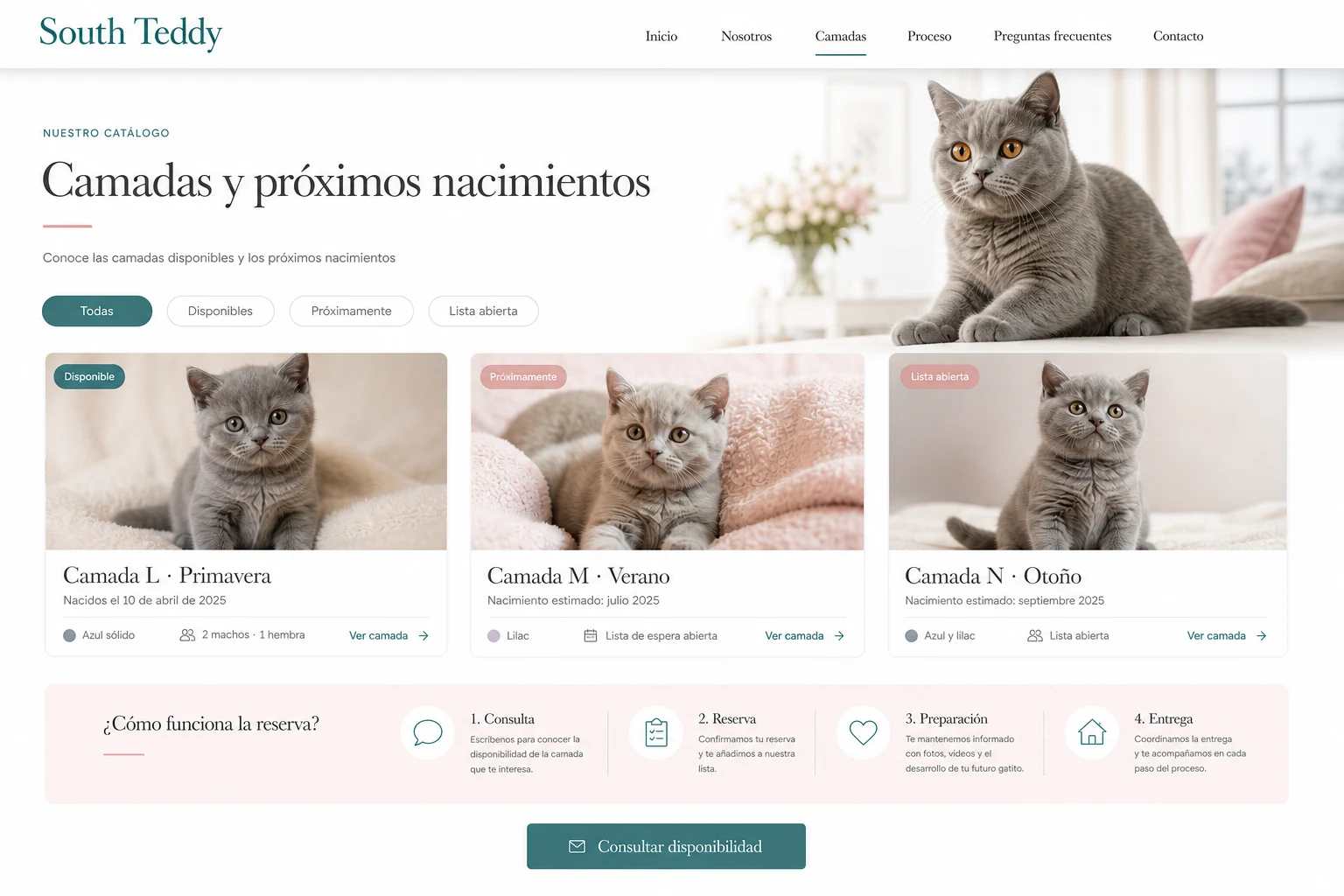 Concepto visual de la página pública del catálogo de camadas