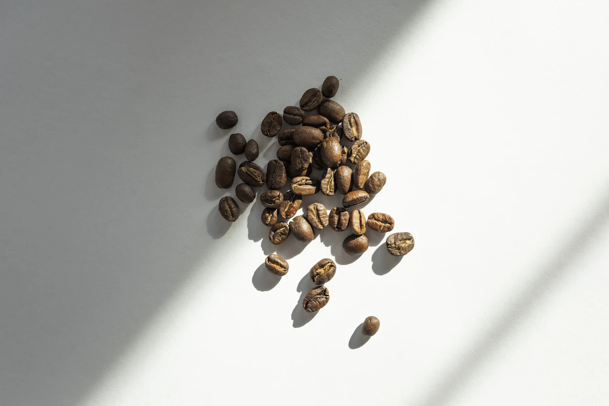 Café Filtrado (V60)